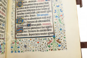 Willelm Vrelant Book of Hours, Florence, Biblioteca Medicea Laurenziana, MS Acq. e Doni 147 − Photo 19