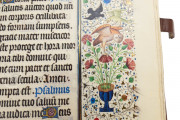 Willelm Vrelant Book of Hours, Florence, Biblioteca Medicea Laurenziana, MS Acq. e Doni 147 − Photo 21