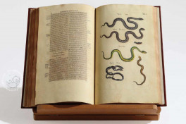 Historia Naturalis: De Exanguibus Acuaticis et Serpentibus Facsimile Edition