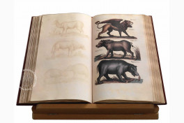 Historia Naturalis: De Quadrupedibus Facsimile Edition