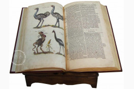 Historia Naturalis: De Avibus Facsimile Edition