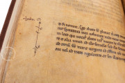Cartularies of Valpuesta, Madrid, Archivo Histórico Nacional de España, Códices 1166B y 1167B − Photo 18