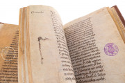 Cartularies of Valpuesta, Madrid, Archivo Histórico Nacional de España, Códices 1166B y 1167B − Photo 21