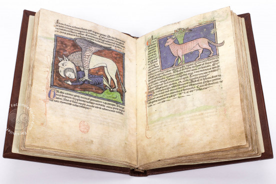 Westminster Abbey Bestiary, London, Westminster Abbey Library, Ms. 22 − Photo 1