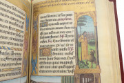 Book of Hours of Luis de Laval, Paris, Bibliothèque nationale de France, MS lat. 920 − Photo 8