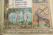 Book of Hours of Luis de Laval, Paris, Bibliothèque nationale de France, MS lat. 920 − Photo 18