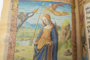 Book of Hours of Luis de Laval, Paris, Bibliothèque nationale de France, MS lat. 920 − Photo 21