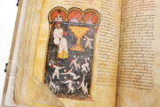 Beatus of Liébana - Vitrina 14-1 Codex, Madrid, Biblioteca Nacional de España, MS Vit. 14-1 − Photo 15