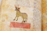 Beatus of Liébana - Vitrina 14-1 Codex, Madrid, Biblioteca Nacional de España, MS Vit. 14-1 − Photo 19