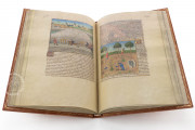 Book of Wonders (The Secrets of Natural History), Paris, Bibliothèque nationale de France, Français 22971 − Photo 5