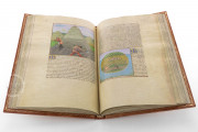 Book of Wonders (The Secrets of Natural History), Paris, Bibliothèque nationale de France, Français 22971 − Photo 6