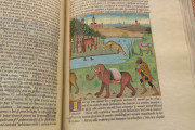 Book of Wonders (The Secrets of Natural History), Paris, Bibliothèque nationale de France, Français 22971 − Photo 16