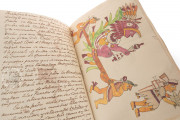 Codex Veitia, Madrid, Biblioteca del Palacio Real − Photo 10