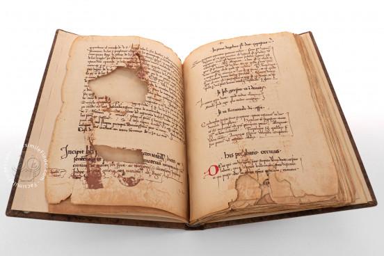 Book of Prophecies, Seville, Biblioteca Capitular y Colombina − Photo 1