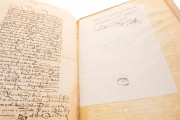 Book of Privileges, Seville, Archivo General de Indias, ms. 295 − Photo 14
