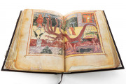 Beatus of Liébana - Codex Urgellensis, La Seu d'Urgell, Museu Diocesà d'Urgell, Num. Inv. 501 − Photo 5