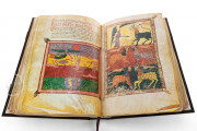 Beatus of Liébana - Codex Urgellensis, La Seu d'Urgell, Museu Diocesà d'Urgell, Num. Inv. 501 − Photo 6