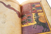 Beatus of Liébana - Codex Urgellensis, La Seu d'Urgell, Museu Diocesà d'Urgell, Num. Inv. 501 − Photo 17