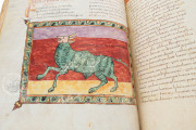 Beatus of Liébana - Codex Urgellensis, La Seu d'Urgell, Museu Diocesà d'Urgell, Num. Inv. 501 − Photo 18