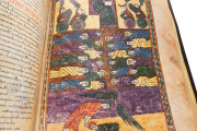 Beatus of Liébana - Codex Urgellensis, La Seu d'Urgell, Museu Diocesà d'Urgell, Num. Inv. 501 − Photo 22