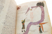 Beatus of Liébana - Codex Urgellensis, La Seu d'Urgell, Museu Diocesà d'Urgell, Num. Inv. 501 − Photo 25