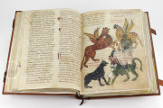 Beatus of Liébana - Valcavado Codex, 433 - Biblioteca Histórica de Santa Cruz (Valladolid, Spain) − photo 4