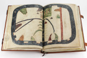 Beatus of Liébana - Valcavado Codex, 433 - Biblioteca Histórica de Santa Cruz (Valladolid, Spain) − photo 8