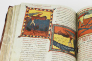 Beatus of Liébana - Valcavado Codex, 433 - Biblioteca Histórica de Santa Cruz (Valladolid, Spain) − photo 11