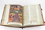 Beatus of Liébana - Valcavado Codex, 433 - Biblioteca Histórica de Santa Cruz (Valladolid, Spain) − photo 12