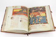 Beatus of Liébana - Valcavado Codex, 433 - Biblioteca Histórica de Santa Cruz (Valladolid, Spain) − photo 15