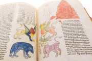 Beatus of Liébana - Turin Codex, Turin, Biblioteca Nazionale Universitaria di Torino, J.II.1 (olim lat.93) − Photo 12
