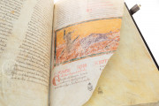 Beatus of Liébana - Tábara Codex, Madrid, Archivo Histórico Nacional de España, 1097B − Photo 3