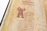 Beatus of Liébana - Tábara Codex, Madrid, Archivo Histórico Nacional de España, 1097B − Photo 10
