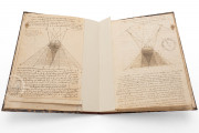 Notebooks of Leonardo da Vinci in the Institut de France, Paris, Institut de France, MSS 
