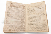 Notebooks of Leonardo da Vinci in the Institut de France, Paris, Institut de France, MSS 