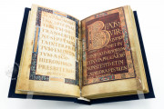 Golden Psalter of Charlemagne (Dagulf Psalter), Codex Vindobonensis 1861 - Österreichische Nationalbibliothek (Vienna, Austria) − Photo 3