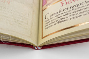 Life of Saint Wenzel, Vienna, Österreichische Nationalbibliothek, Codex Ser. nov. 2633 − Photo 11