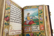 Hours of Mencía de Mendoza, Madrid, Biblioteca del Instituto de Valencia de Don Juan, 26-III-41 − Photo 7