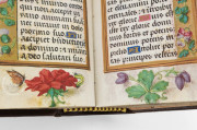Hours of Mencía de Mendoza, Madrid, Biblioteca del Instituto de Valencia de Don Juan, 26-III-41 − Photo 9