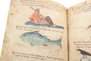 Metz Codex, Madrid, Biblioteca Nacional de España, Ms. n. 3307 − Photo 4