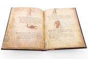Metz Codex, Madrid, Biblioteca Nacional de España, Ms. n. 3307 − Photo 6