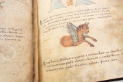 Metz Codex, Madrid, Biblioteca Nacional de España, Ms. n. 3307 − Photo 7