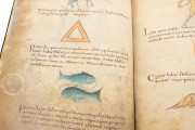 Metz Codex, Madrid, Biblioteca Nacional de España, Ms. n. 3307 − Photo 9