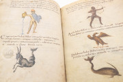 Metz Codex, Madrid, Biblioteca Nacional de España, Ms. n. 3307 − Photo 10