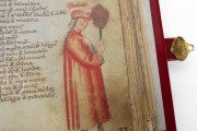 Latin Dioscorides, Vatican City, Biblioteca Apostolica Vaticana, MS Chig. F.VII.158 − Photo 8