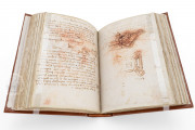Madrid Codices, Madrid, Biblioteca Nacional de España, MS 8937 and MS 8936 − Photo 22