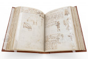 Madrid Codices, Madrid, Biblioteca Nacional de España, MS 8937 and MS 8936 − Photo 24