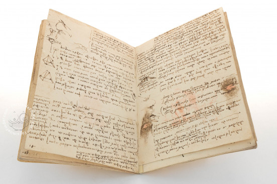 Codex on the flight of birds, Turin, Biblioteca Reale di Torino − Photo 1
