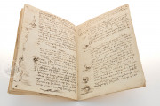 Codex on the flight of birds, Turin, Biblioteca Reale di Torino − Photo 4