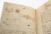Codex on the flight of birds, Turin, Biblioteca Reale di Torino − Photo 6